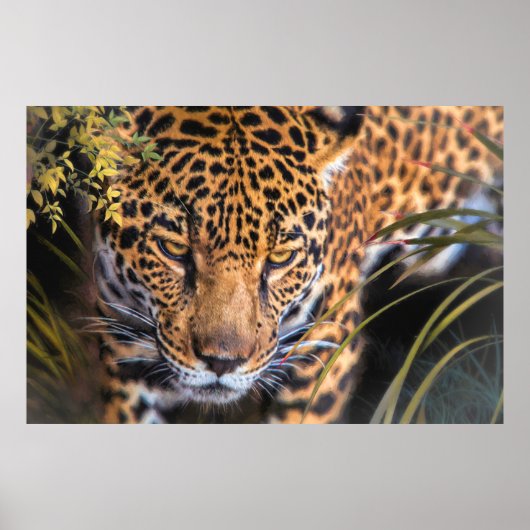 LEOPARD ENCOUNTER POSTER (Vorne)