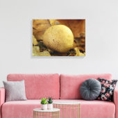 Leopard Erdball Fungus Canvas Print Leinwanddruck (Insitu (Wohnzimmer))
