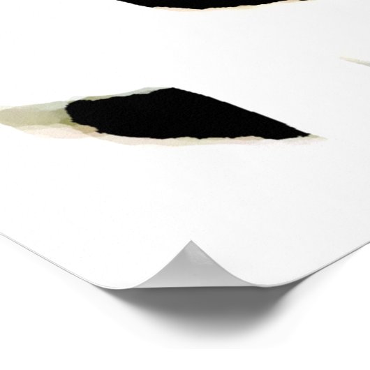 Leopard Eyes Poster - Pop Art Wilde Tiere (Ecke)