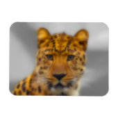 Leopard Face Magnet (Horizontal)