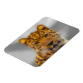 Leopard Face Magnet (Linke Seite)