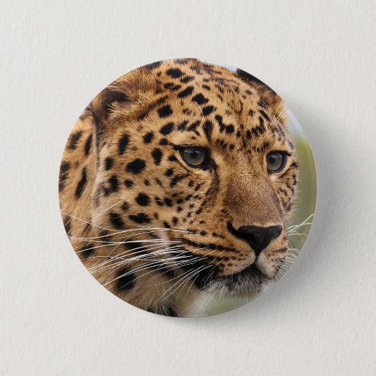 Leopard-Foto Button (Vorderseite)