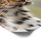 Leopard-Foto Fotodruck (Ecke)