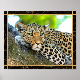 Leopard Foto Image Print Poster