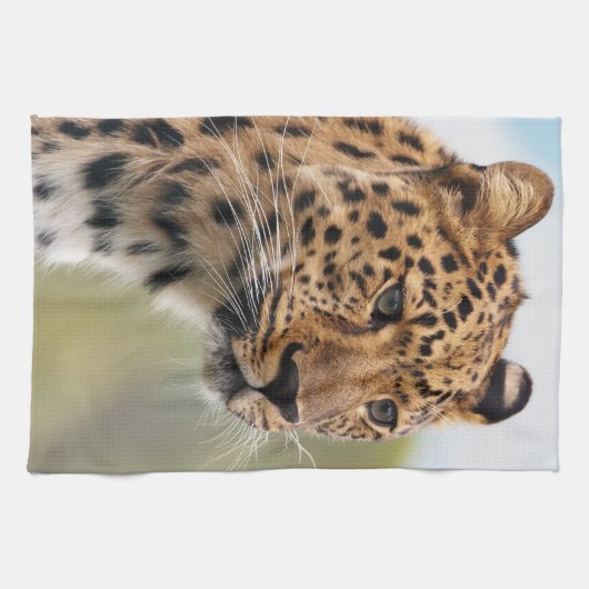 Leopard-Foto Küchentuch (Horizontal)