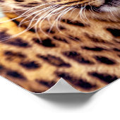 Leopard-Foto Poster (Ecke)
