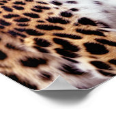 Leopard-Foto Poster (Ecke)