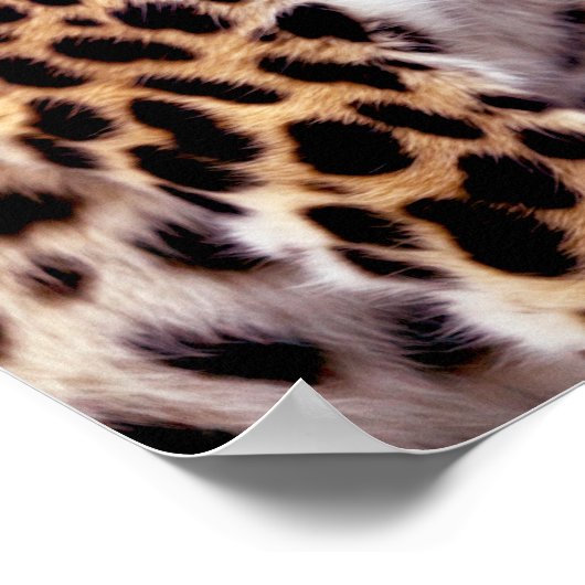 Leopard-Foto Poster (Ecke)
