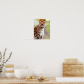 Leopard-Foto Poster (Küche)