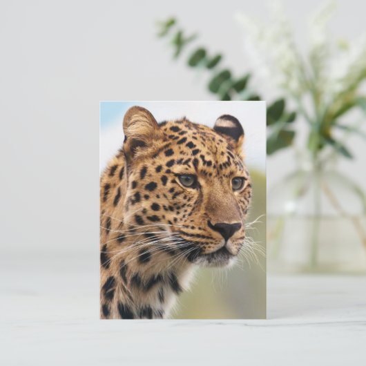 Leopard-Foto Postkarte (Stehend Vorderseite)