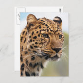 Leopard-Foto Postkarte (Vorne/Hinten)
