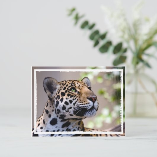 Leopard-Foto Postkarte (Stehend Vorderseite)