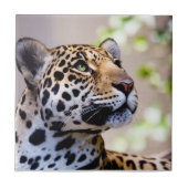 Leopard-Fotografie Fliese (Vorderseite)