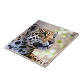 Leopard-Fotografie Fliese (Seite)