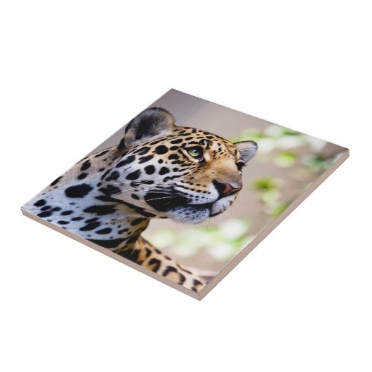 Leopard-Fotografie Fliese (Seite)