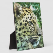 LEOPARD FOTOPLATTE (Seite)