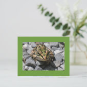 Leopard Frog Postkarte (Stehend Vorderseite)