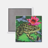 Leopard-Frosch-Magnet Magnet (Vorderseite/Rückseite)