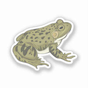 Leopard-Froschdarstellung Aufkleber