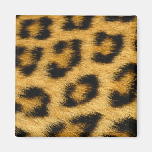 Leopard Fur Magnet (Vorne)
