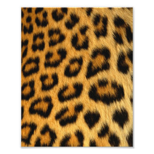 Leopard Fur Print Fotodruck