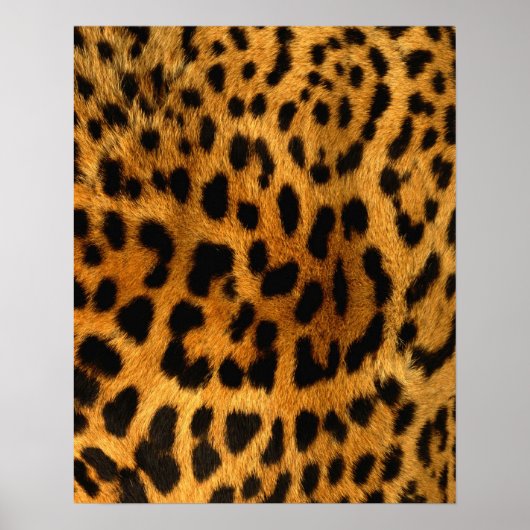 Leopard Fur Print Poster (Vorne)