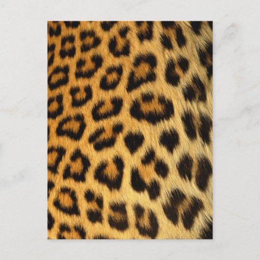 Leopard Fur Print Postkarte (Vorderseite)