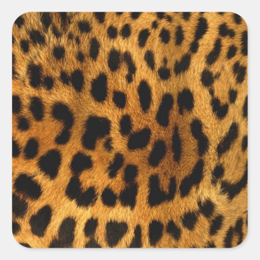 Leopard Fur Print Quadratischer Aufkleber (Vorderseite)