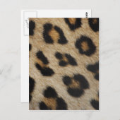 Leopard Fur Textur Muster Postkarte (Vorne/Hinten)