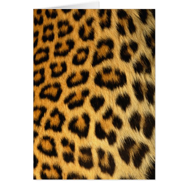 Leopard Fur Wildlife Cards Serie (Vorne)