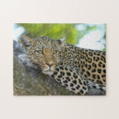 Leopard Game Puzzle (Horizontal)