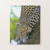 Leopard Game Puzzle (Vertikal)