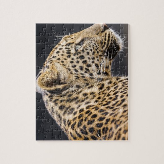 Leopard Game Puzzle (Vertikal)