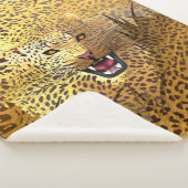 Leopard-Gebiet 1 Sherpadecke (3/4)