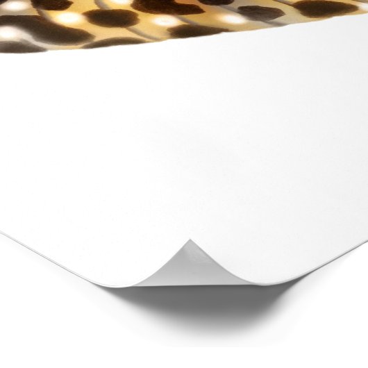 Leopard Gecko Art Print Poster (Ecke)