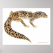 Leopard Gecko Art Print Poster (Vorne)