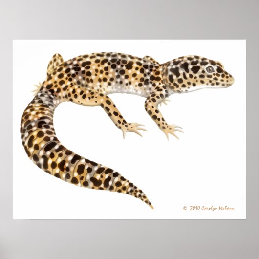 Leopard Gecko Art Print Poster (Vorne)
