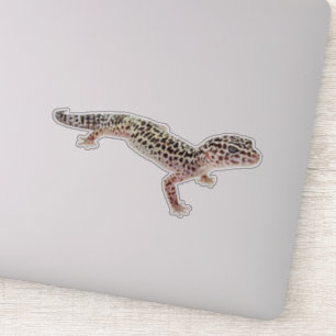 Leopard Gecko Aufkleber
