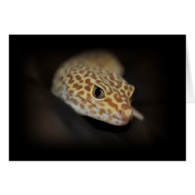 Leopard Gecko Card (Vorderseite (Horizontal))