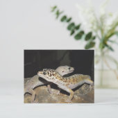 Leopard Gecko Design für alle Gecko Liebhaber! Postkarte (Stehend Vorderseite)