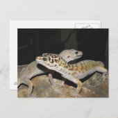 Leopard Gecko Design für alle Gecko Liebhaber! Postkarte (Vorne/Hinten)