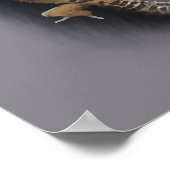 Leopard-Gecko-Eidechse Poster (Ecke)