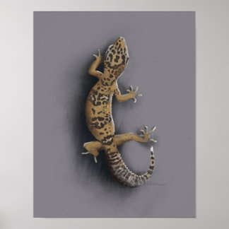 Leopard-Gecko-Eidechse Poster