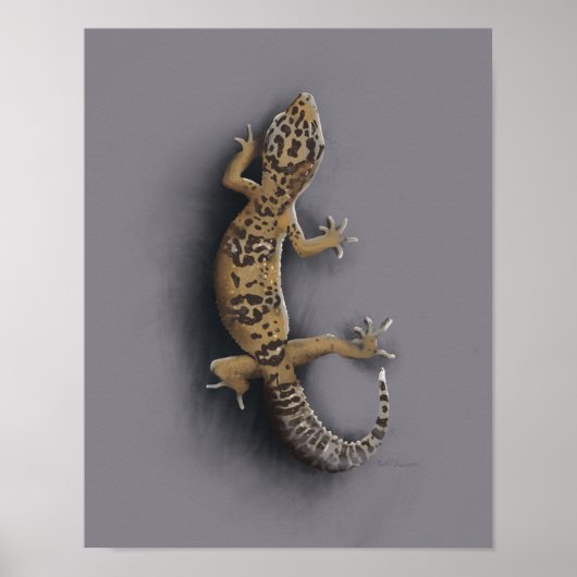 Leopard-Gecko-Eidechse Poster (Vorne)