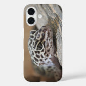 Leopard Gecko Eyes Mouth Face Nah Case-Mate iPhone Hülle (Rückseite)
