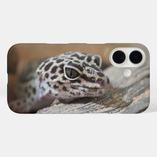 Leopard Gecko Eyes Mouth Face Nah Case-Mate iPhone Hülle (Rückseite (Horizontal))