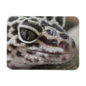 Leopard Gecko Eyes Mouth Face Nah Magnet (Horizontal)