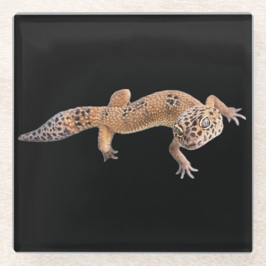 Leopard Gecko Glasuntersetzer (Vorderseite)