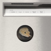 Leopard Gecko Magnet (In Situ (Geschirrspüler))