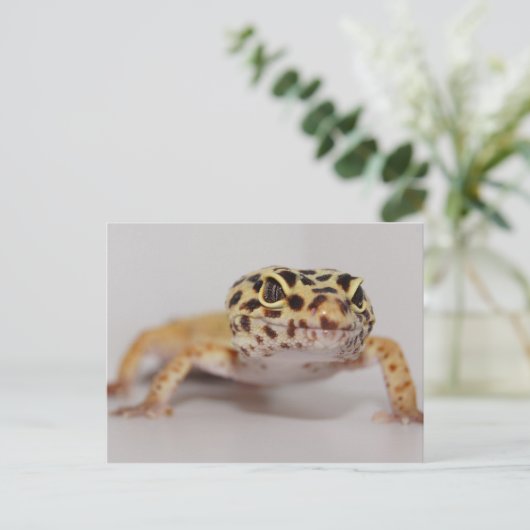 Leopard Gecko Postcard Postkarte (Stehend Vorderseite)